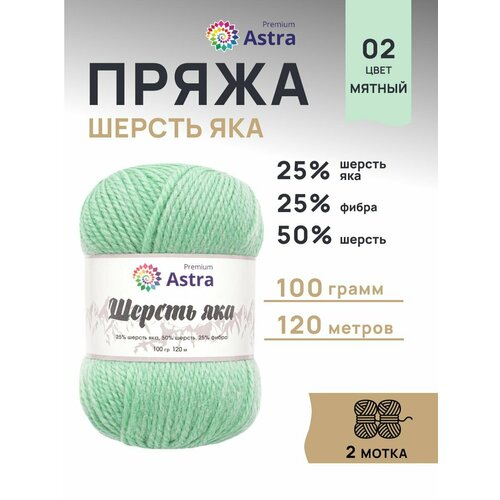 Пряжа для вязания Astra Premium Шерсть яка (Yak wool) 100гр 120м (+/-5%) (25% шерсть яка, 50% шерсть, 25% фибра) (02 мятный), 2 мотка