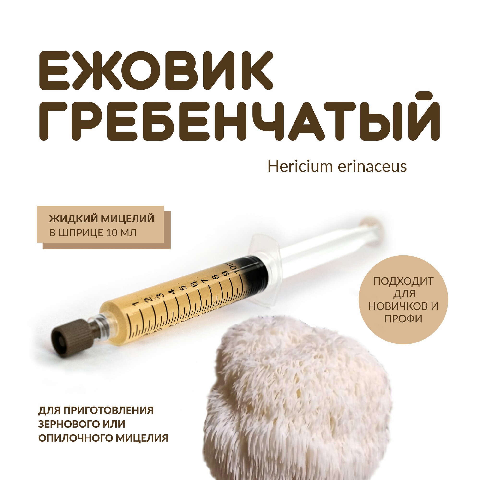 Жидкий мицелий ежовик гребенчатый обычный