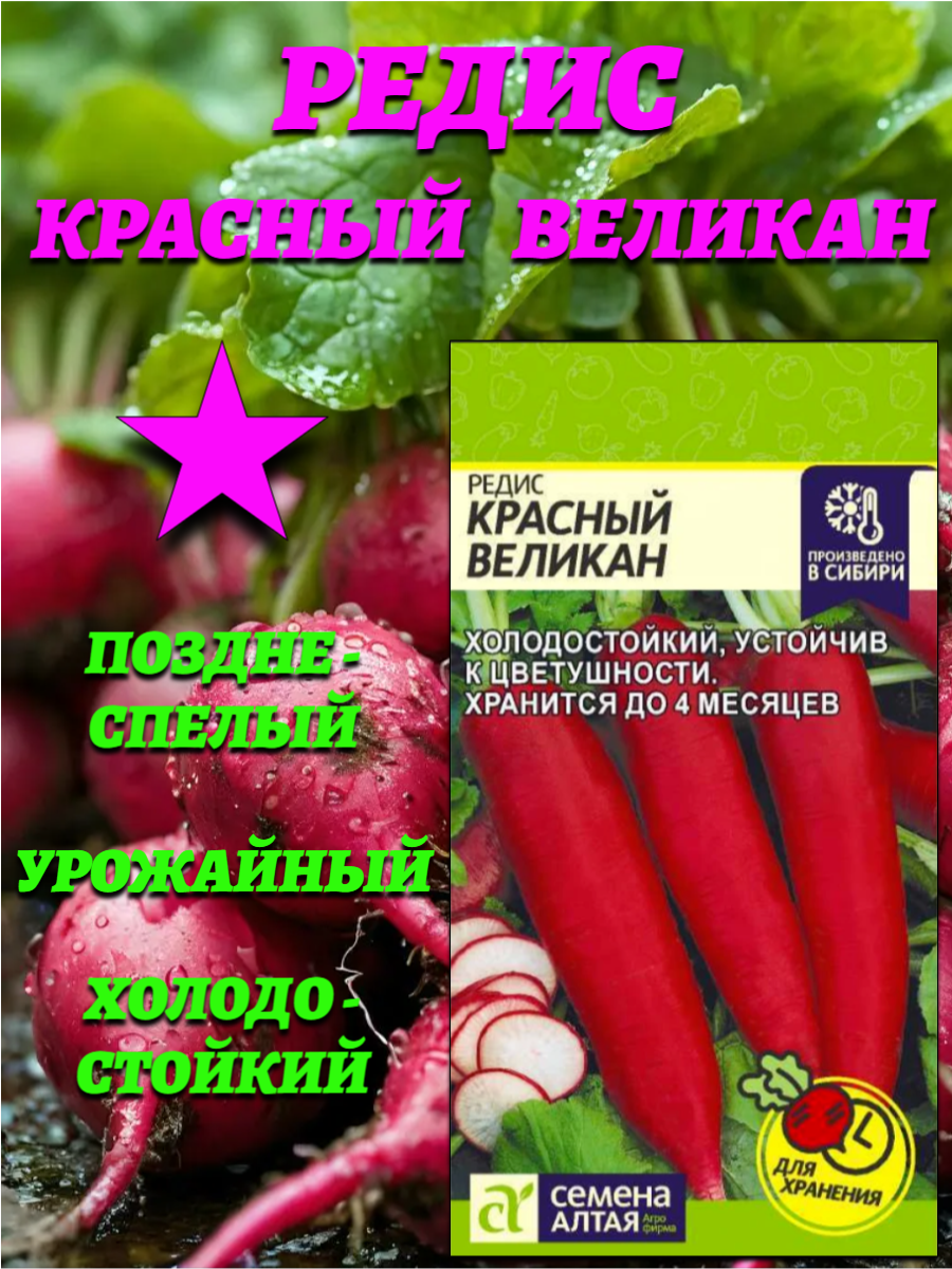 Редис Красный Великан (2 гр). Устойчив к цветушности. Семена Алтая