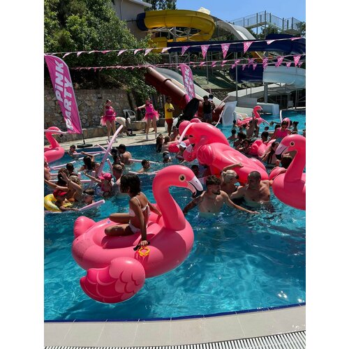 Надувной пляжный матрас-плюшка Розового фламинго большой, размер 178х135 см.