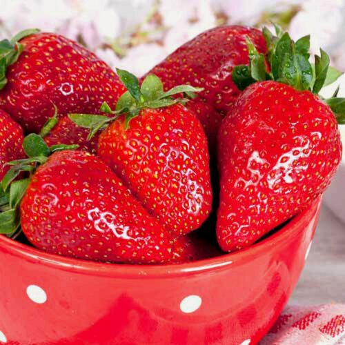 Изображение товара Клубника (крупноплодная) Гигантский Деликатес / 10 шт, морозостойкий сорт