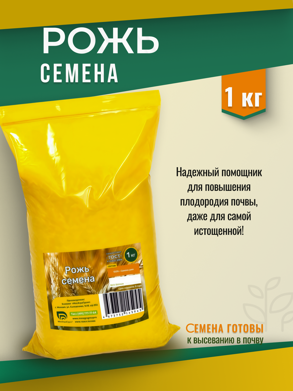 Рожь семена 1 кг Мосагрогрупп сидерат для посадки осенью и весной