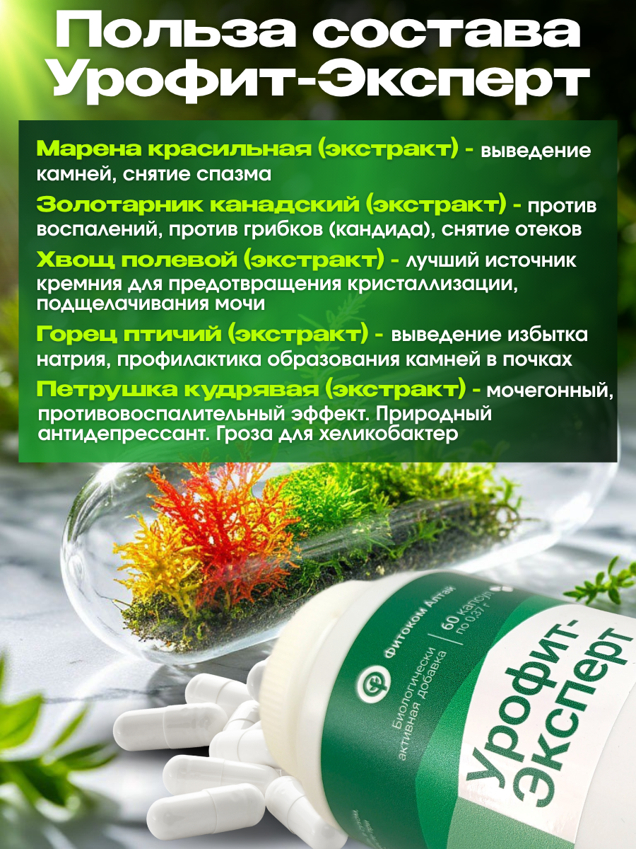Препараты От Болезней Почек Урофит-Эксперт БАД для почек и мочевого пузыря 60 капсул от Фитоком Алтай
