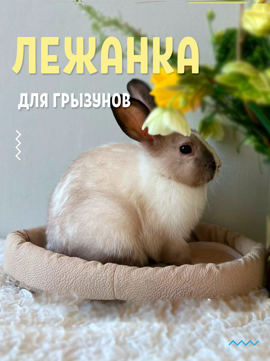 Лежанка для грызунов и морской свинки в клетку, лежак для животных BOAT, бежевый