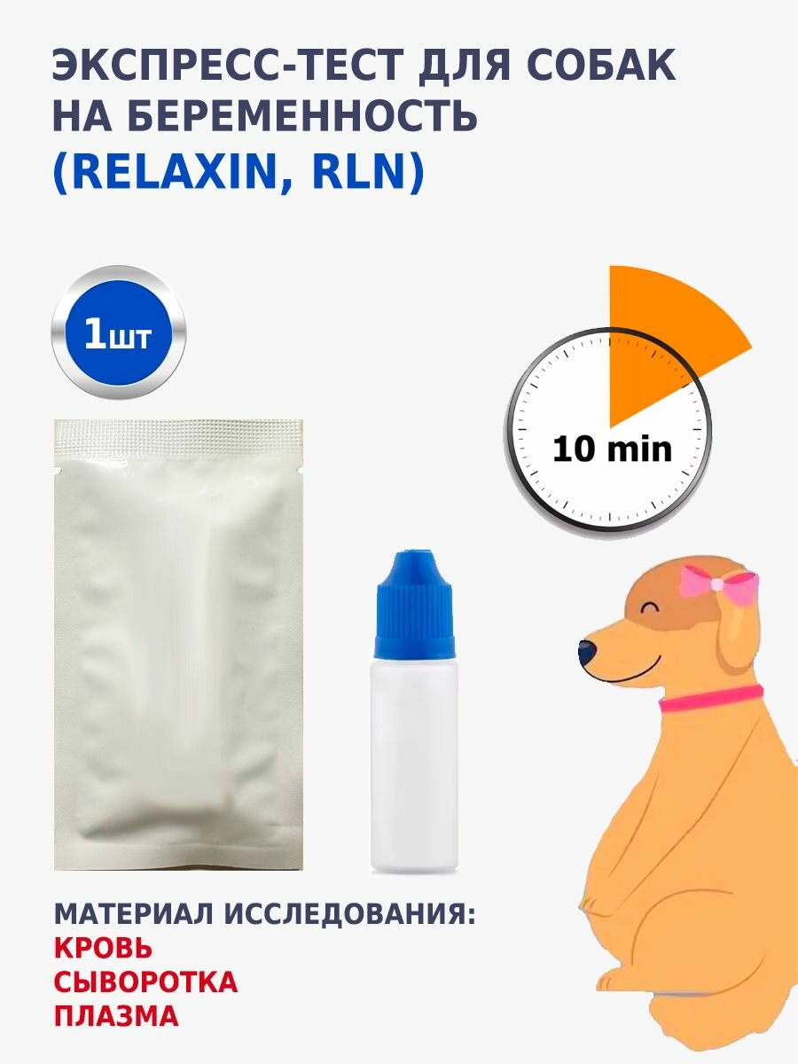 Экспресс-тест QBQVET на беременность Релаксин собак (RLN), 1 шт.
