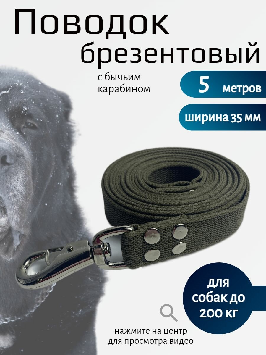Поводок для собак крупных пород с бычьим карабином 5 м х 35 мм брезент (зеленый)