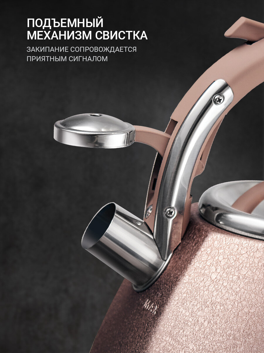 Чайник для всех типов плит TalleR TR-11354 Айгрет 3.0 л, со свистком — фото 1