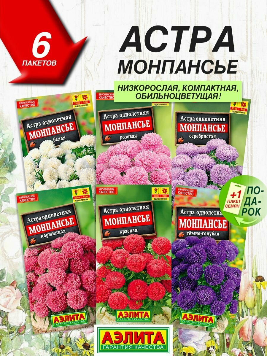 Семена цветов Аэлита Астра Монпансье 6 сортов   Семена Астры