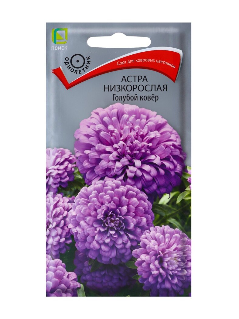 Семена цветов Астра 