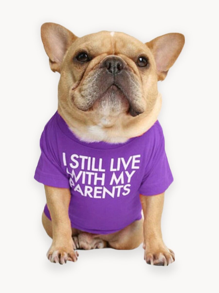 Футболка для собак мелких и средних пород, для кошек, для котов, для щенков и котят. Одежда для собак и кошек. Размер-XXL, Фиолетовый