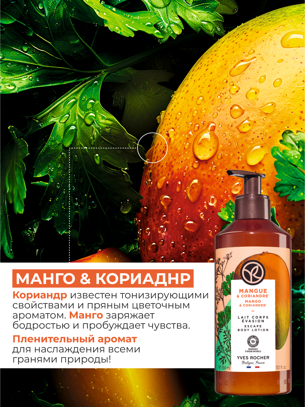 Картинки Молочко для тела увлажняющее Манго и Кориандр