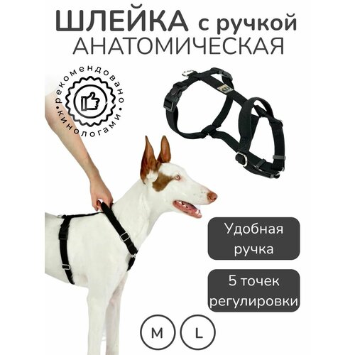 Шлейка с ручкой прогулочная анатомическая для средних и крупных пород собак, CORADOG Quick click, размер M, цвет черный