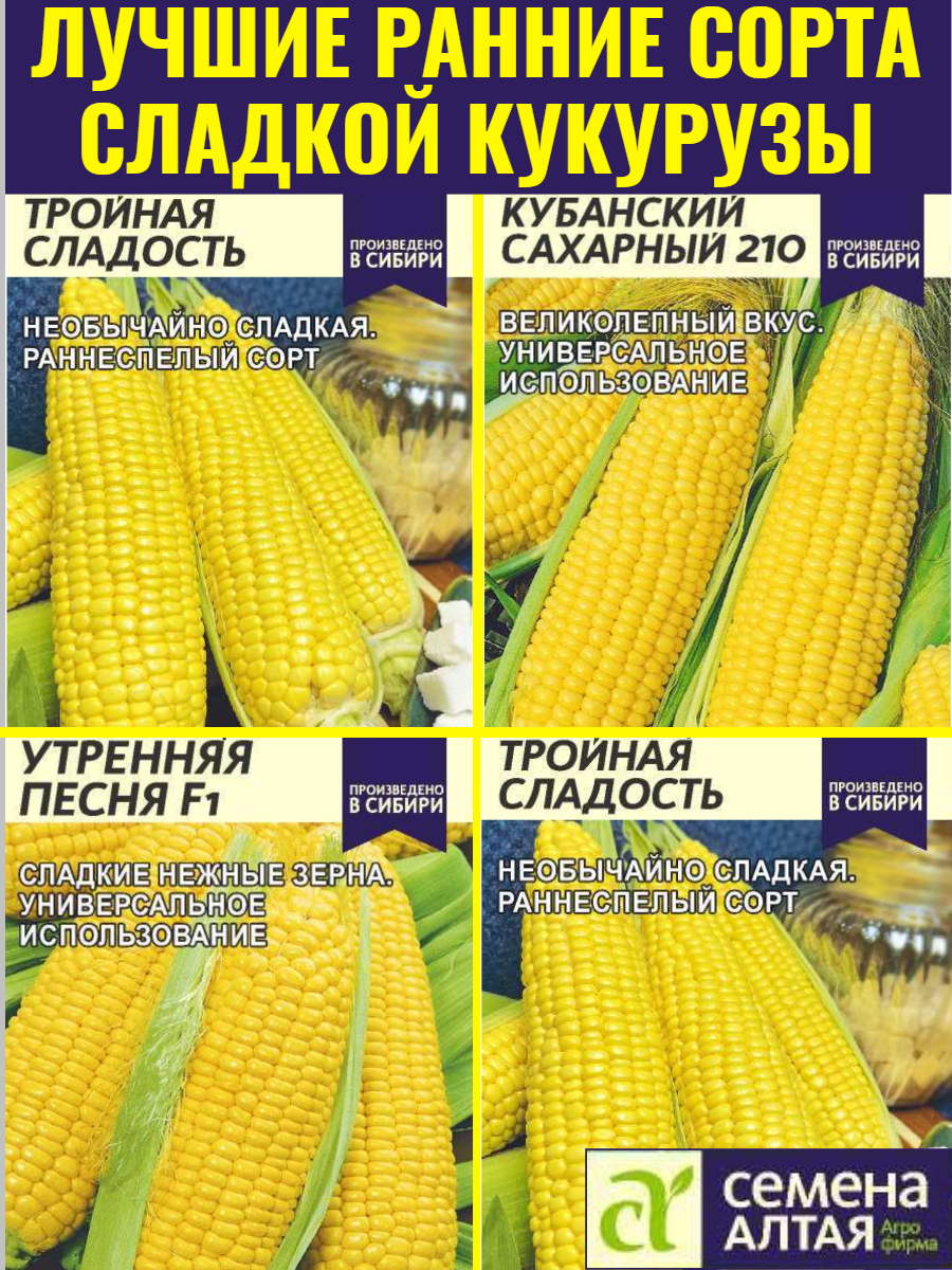 Набор семян ранних сортов сахарной кукурузы для посадки от агрофирмы Семена Алтая