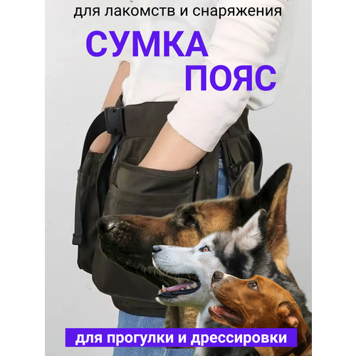 Сумка-пояс для дрессировки "Хаки"
