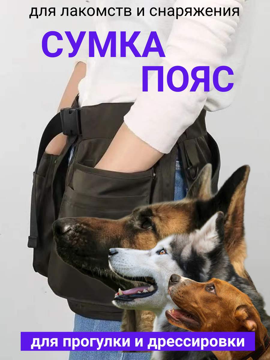 Сумка-пояс для дрессировки 