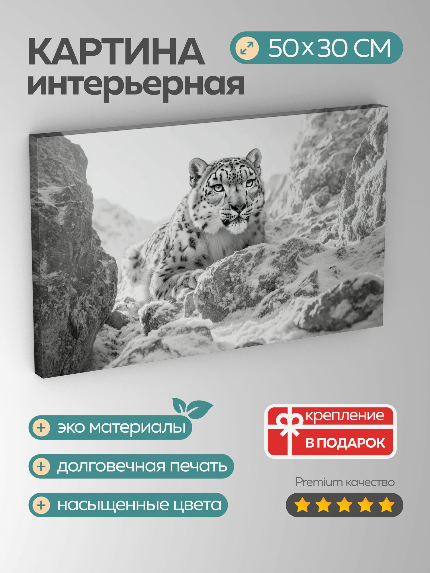 Картина на холсте интерьерная 50х30 см, Снежный барс, скалистая местность, замаскированный, природа, леопард, величие