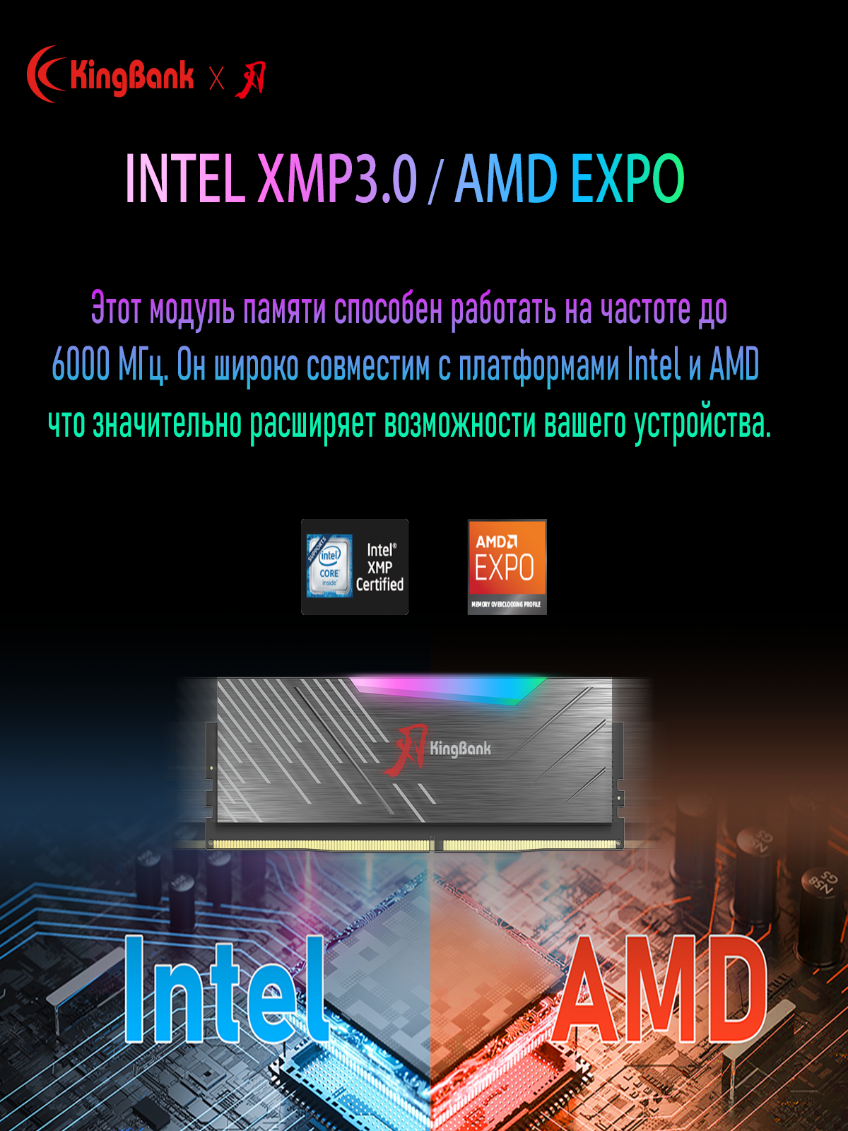 Kingbank Оперативная память Dark Soarblade RGB DDR5 UDIMM 6000MHz 2*16GB Drak Heatsink (Hynix A-die C28) — фото 1