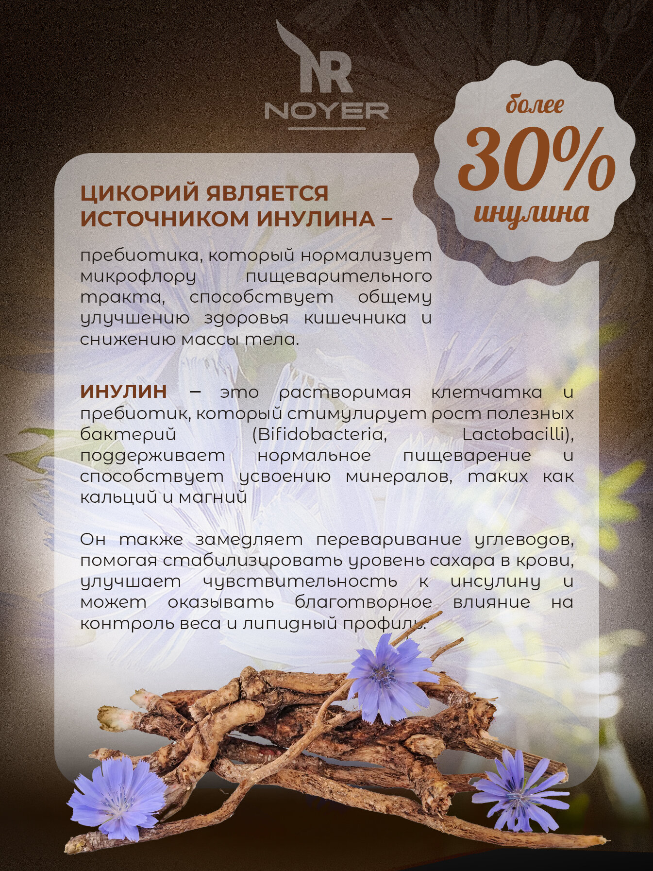 Цикорий растворимый натуральный NOYER 180 гр. Молотый цикорий, с содержанием инулина более 30% — фото 1