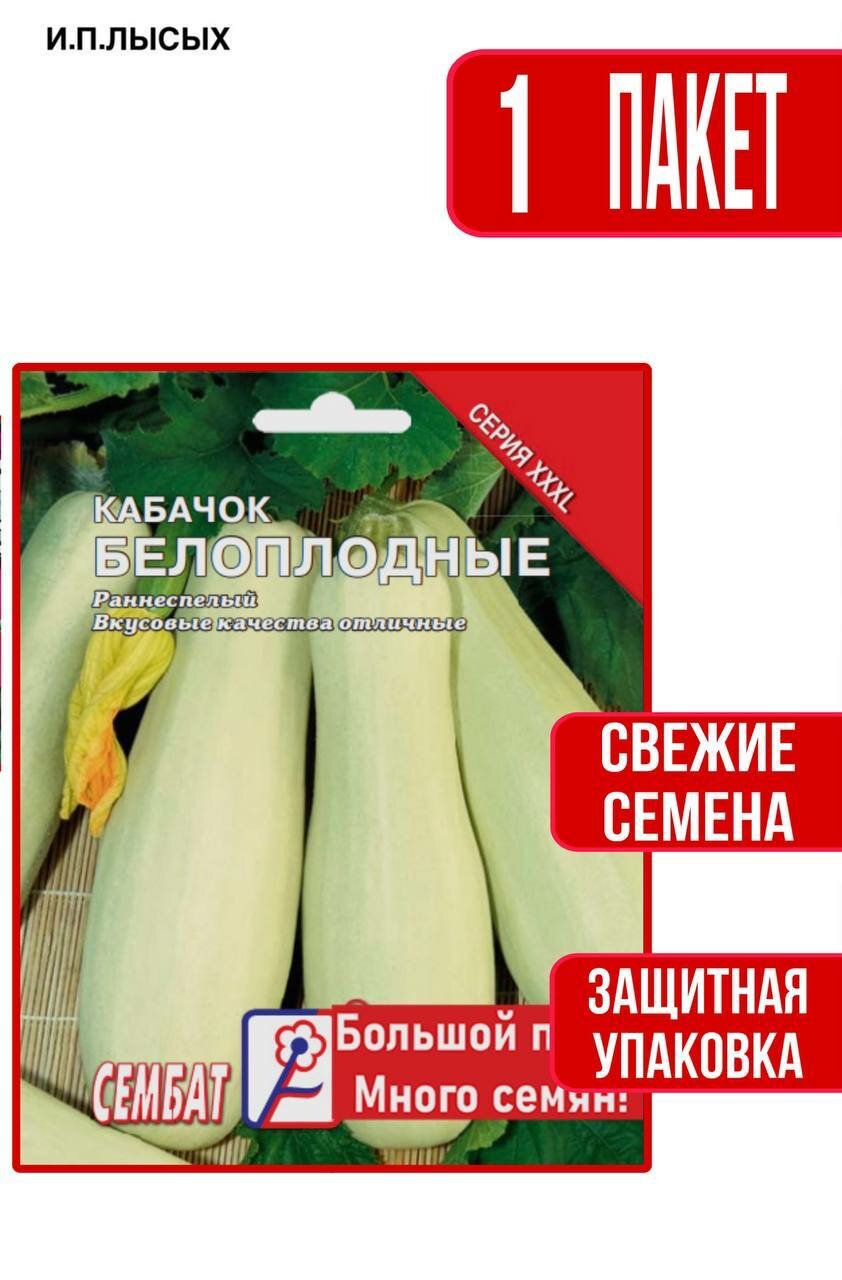 Семена Кабачок 