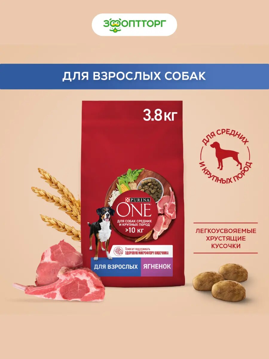 Сухой корм Purina One корм для взрослых собак средних и крупных пород Ягненок и рис, 3,8 кг.
