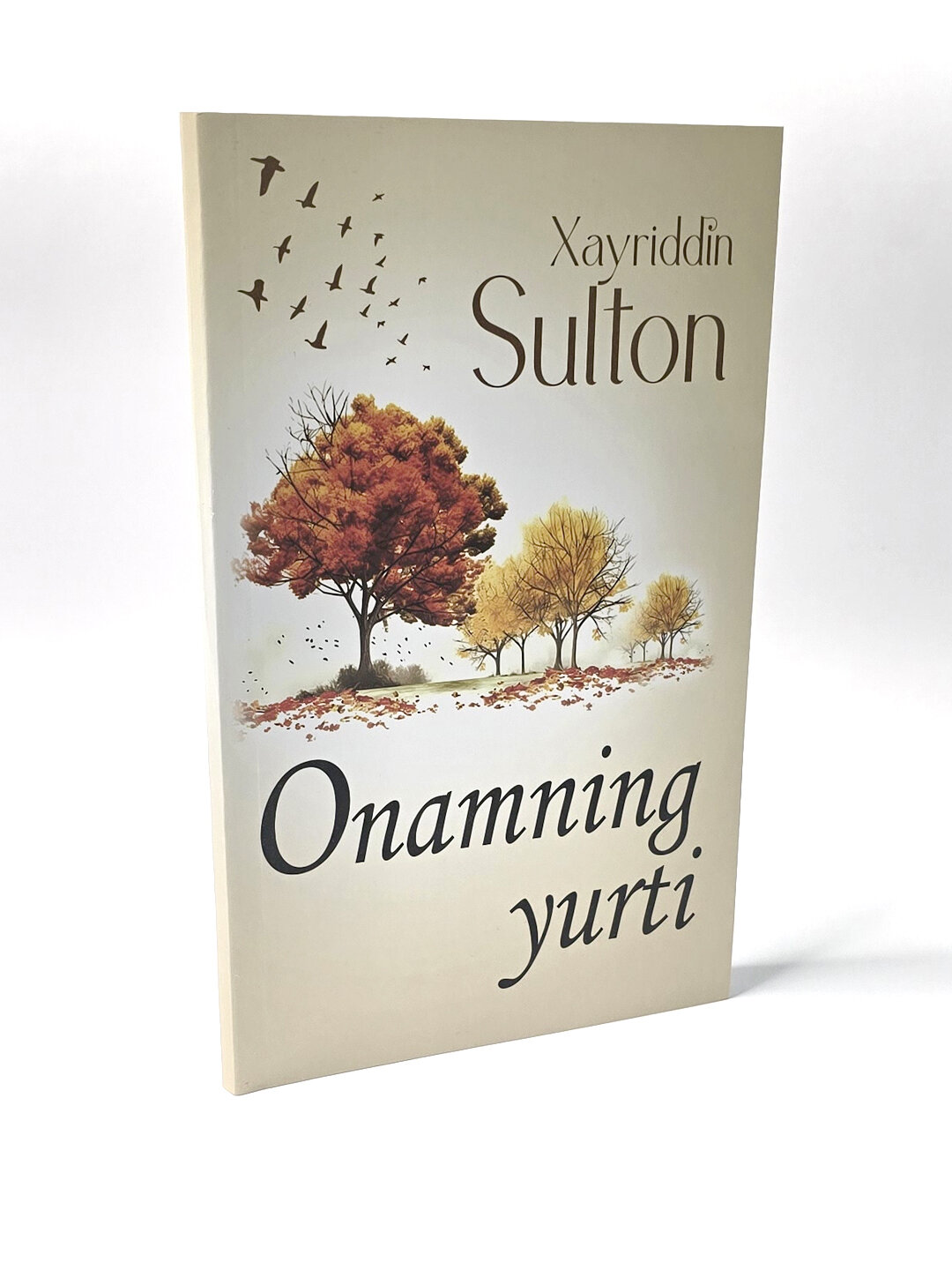 Онамнинг юрти, Хайриддин Султан — фото 1