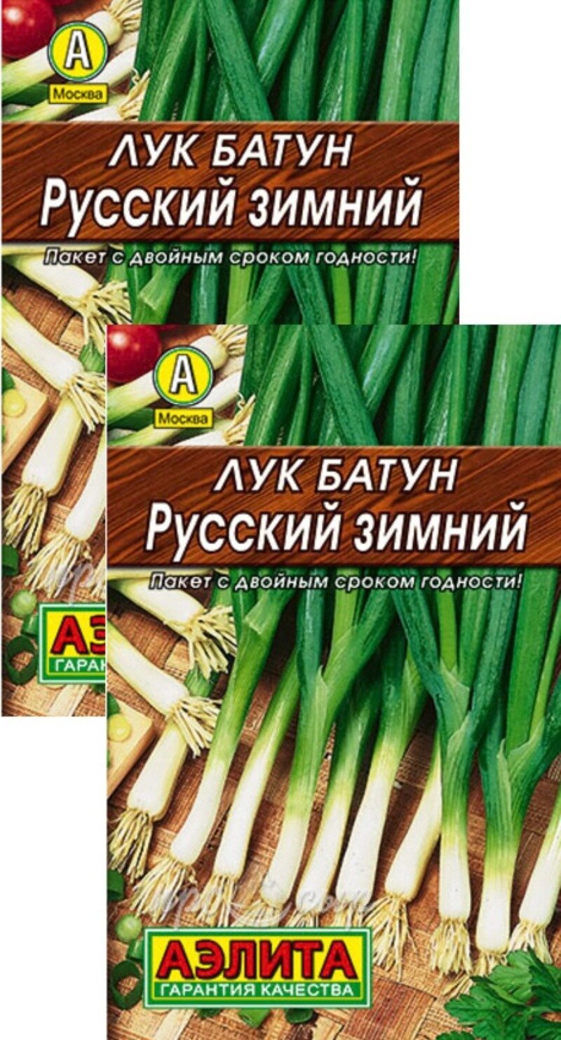 Семена Лук батун Русский зимний (1 г) 2 пакета Агрофирма Аэлита многолетник