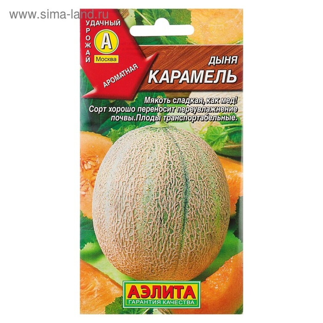 Семена Дыня 