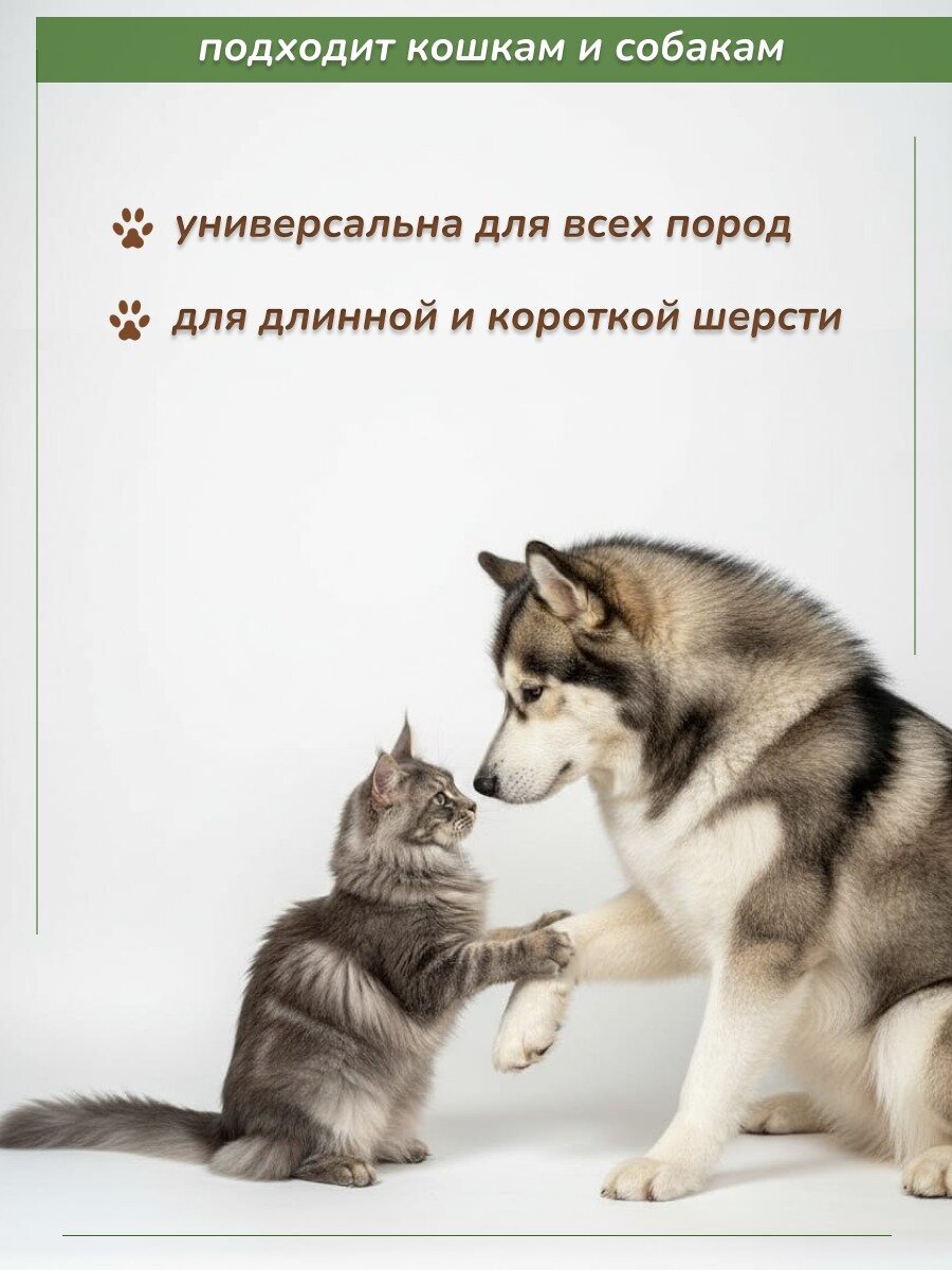 Картинки Двусторонняя массажная расческа - щетка для собак и кошек из бамбука для вычесывания шерсти.