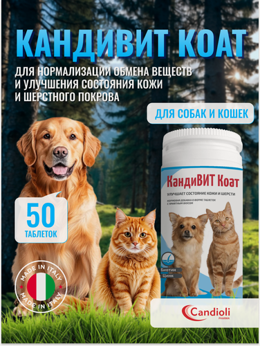 Изображение товара КандиВит Коат кормовая добавка для нормализации обмена веществ и улучшения состояния шерсти у собак и кошек