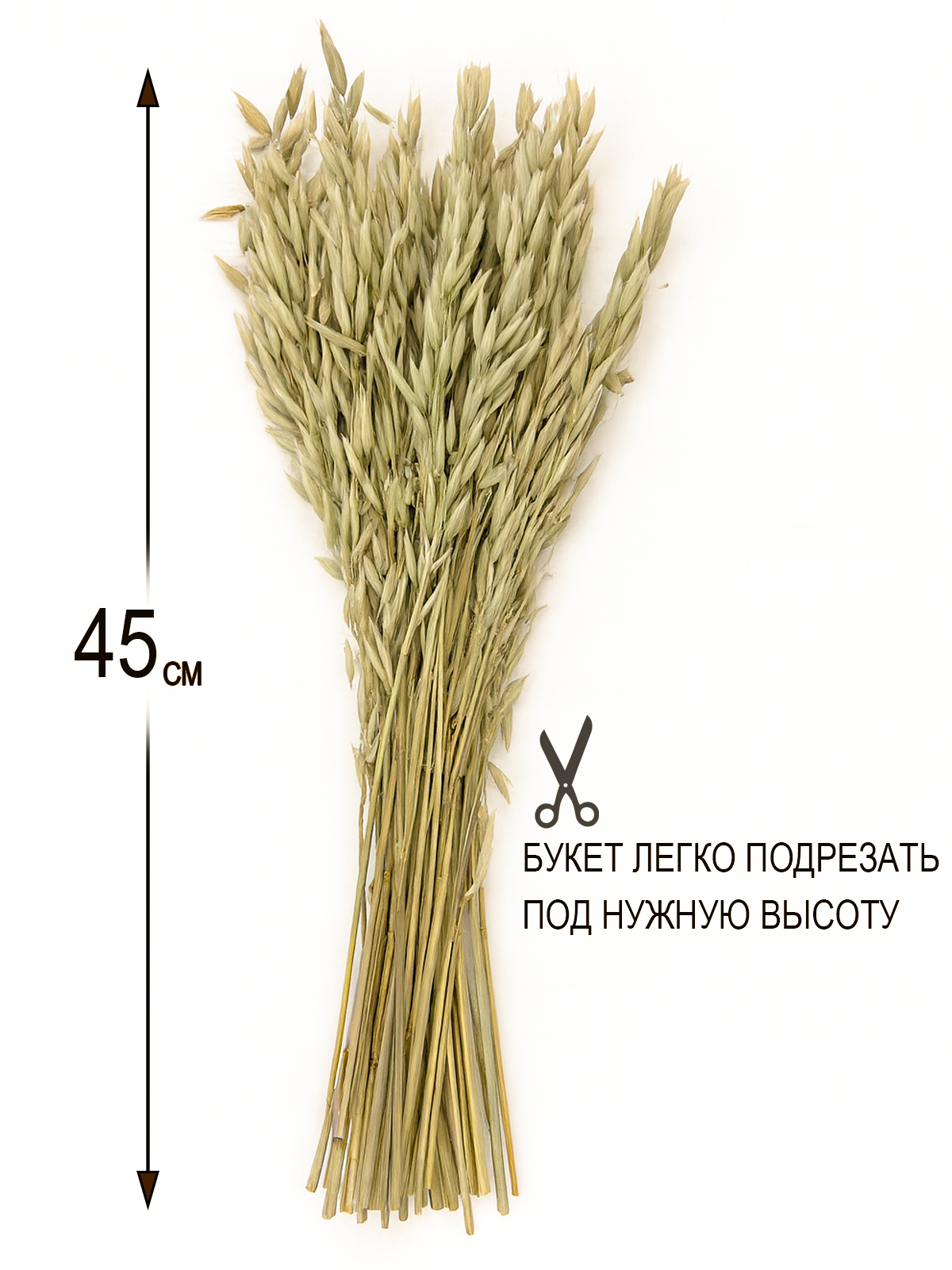 Сухоцветы для декора Овес, зеленый, 50 штук, бренд ARANTA Decor — фото 1