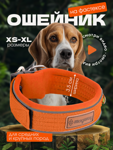 Изображение товара Ошейник для собак MagWay/ широкий 3,5см/ на фастексе/ размер L/ оранжевый