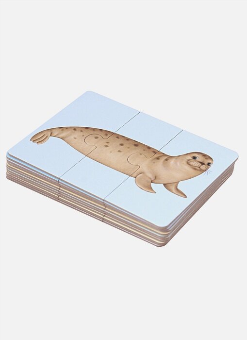 Морепутаница — фото 1