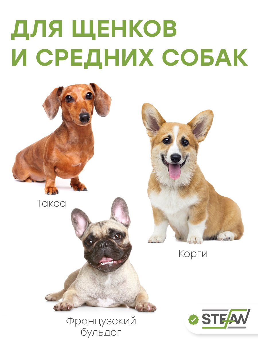 Туалет-лоток со стенкой для собак STEFAN, большой (L) 67х52х28, темно-серый, BP1311GG — фото 1