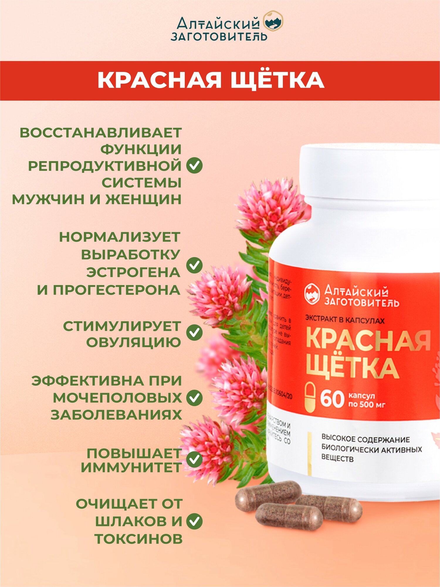 Негормональные Средства Для Женского Здоровья Боровая матка и Красная щётка капсулы 500 мг, 2 банки по 60 шт. - Алтайский заготовитель