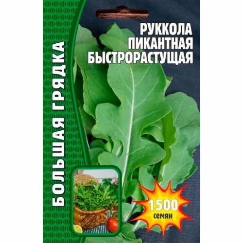 Руккола Пикантная Быстрорастущая 1500 шт Большая грядка
