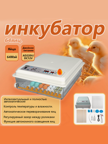 Изображение товара 64 яиц, Автоматический интеллектуальный домашний инкубатор для яиц, Регулирование температуры и влажности, овоскопом, автоповоротом, AC220V/DC12V, двойной источник питания