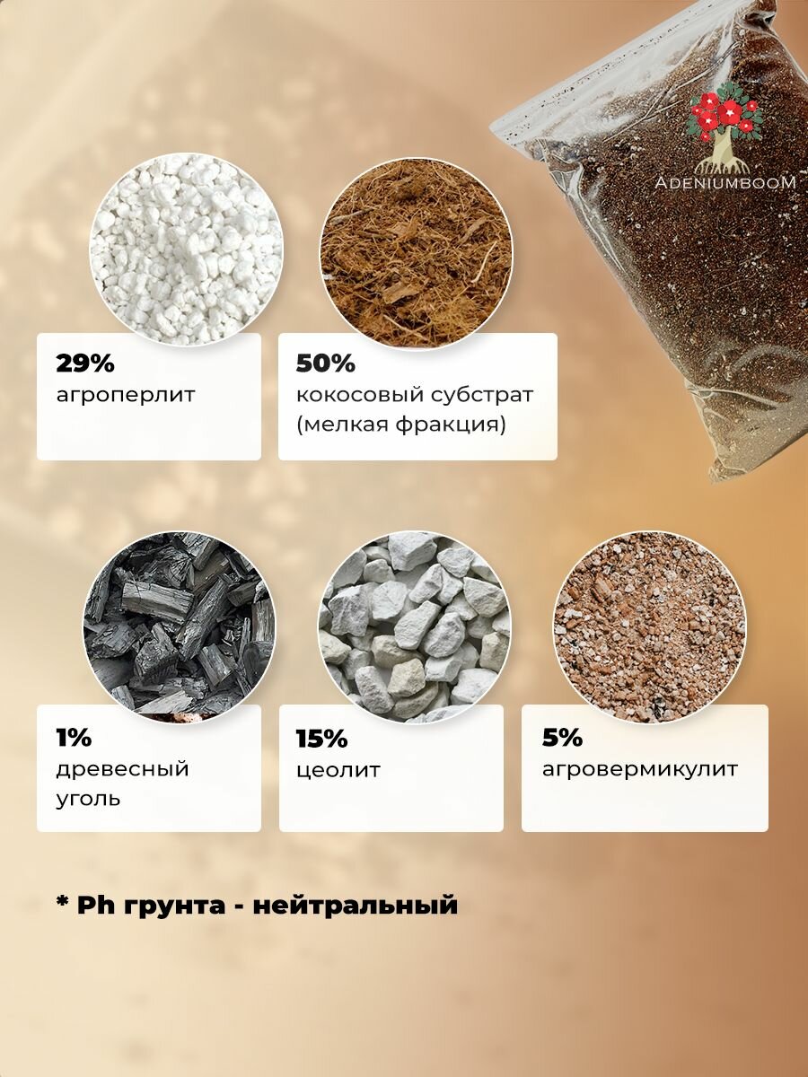 Фирменный грунт для адениума, 2л. /земля для адениума, грунт для суккулентов/AdeniumBoom — фото 1