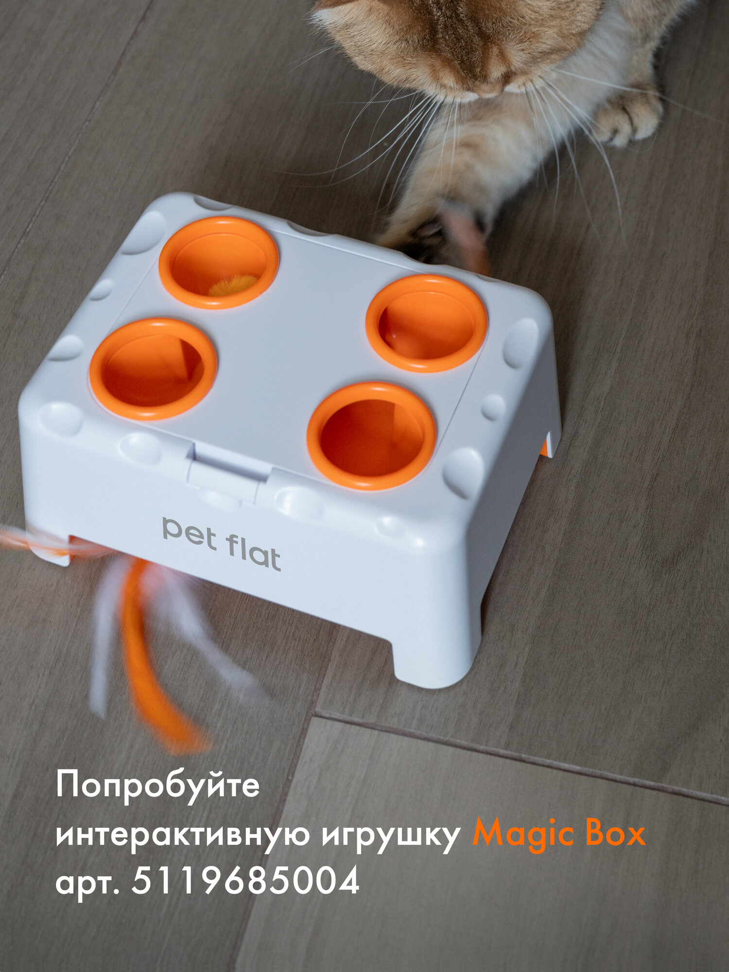 Комплект сменных игрушек и перьев для интерактивной игрушки Magic Box — фото 1