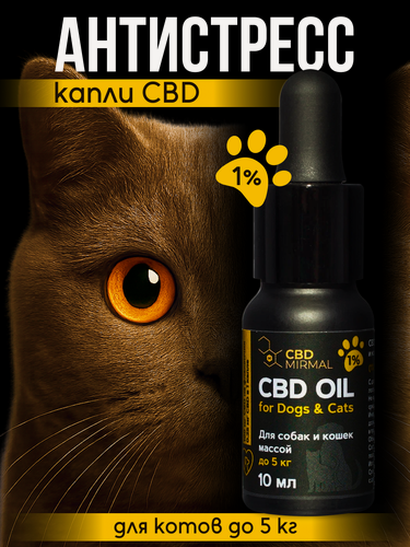 Изображение товара Успокоительное масло для котят и кошек весом до 5 кг (1%) 10 мл