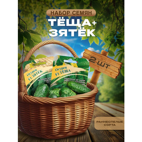 фото Семена огурцов самоопыляемые зятек + огурцы для открытого грунта и теплиц теща. гавриш