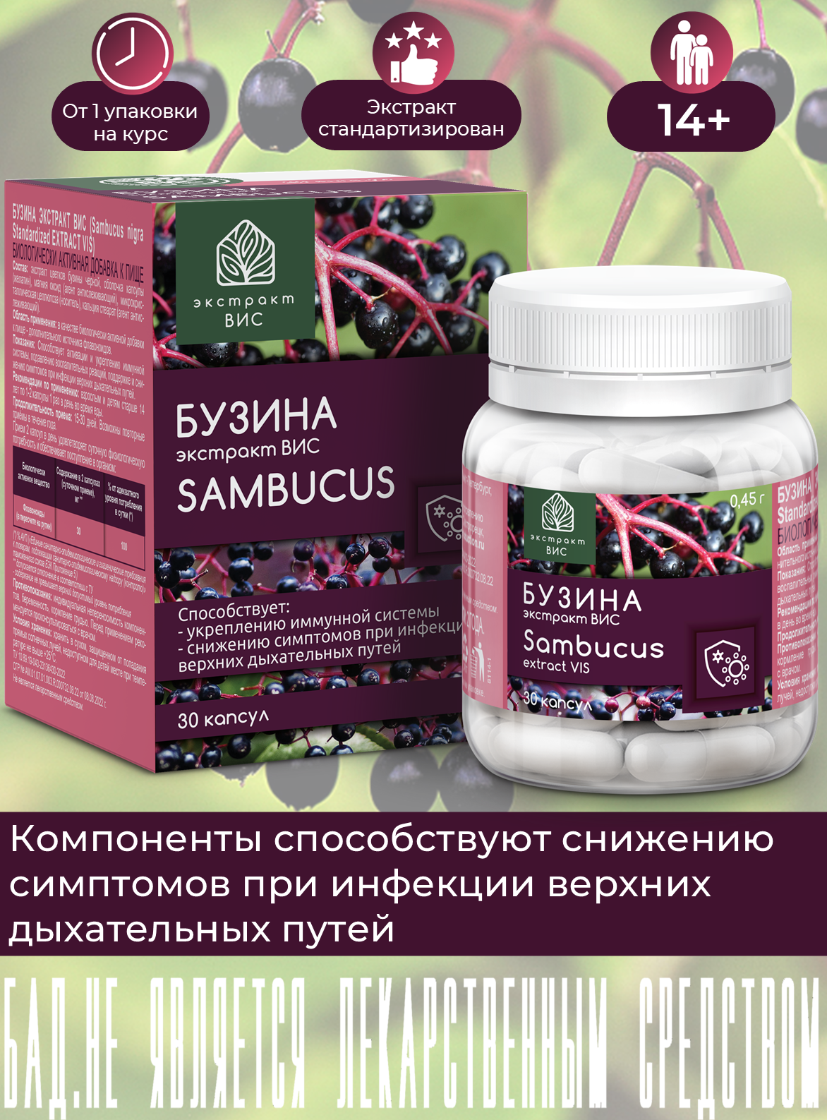 Бузина экстракт ВИС (Sambucus nigra Standardized EXTRACT VIS) капсулы 0,45 г №30