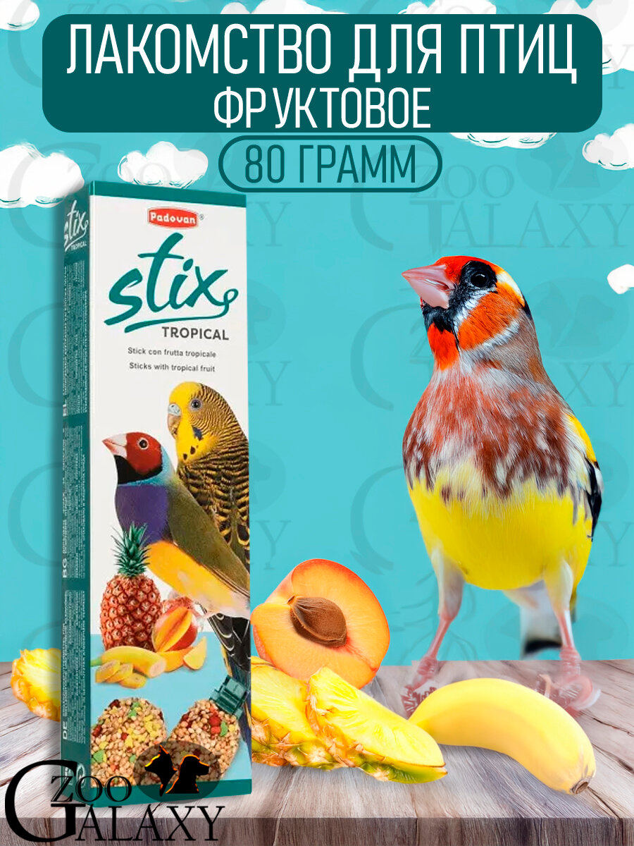 PADOVAN Stix Tropical лакомство для птиц фруктовое 80 г