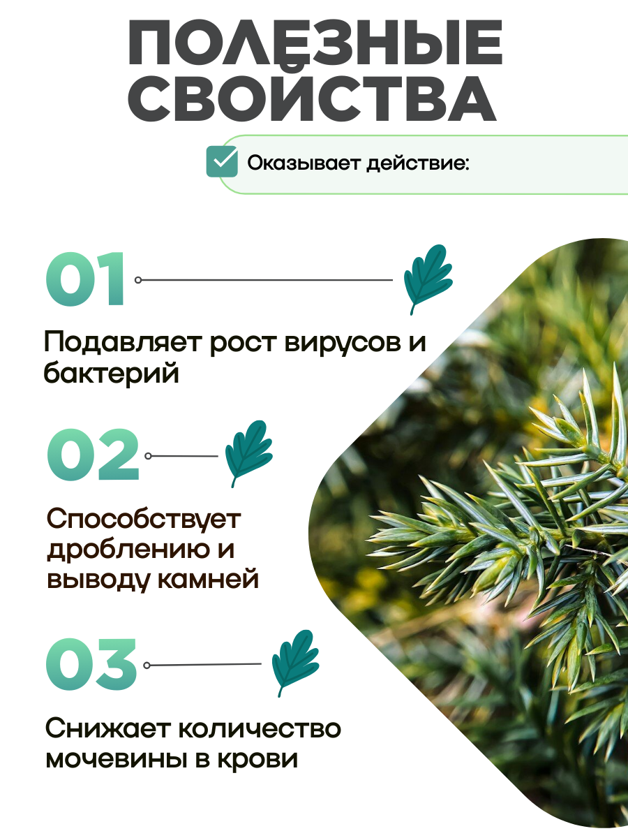 Картинки Бальзам Черного Ореха "Нуксен" Здоровые Почки, 100 мл - "Фитэко"