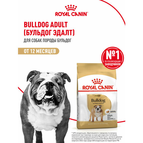Корм для собак Royal Canin Bulldog Adult (Будьдог Эдалт) Корм сухой для взрослых собак породы Бульдог от 12 месяцев, 3 кг