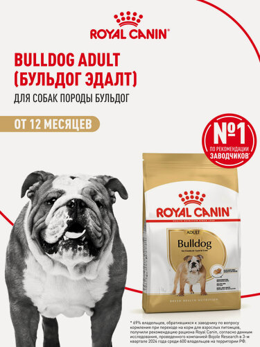 Изображение товара Сухой корм для собак Royal Canin Adult для породы бульдог, 3 кг