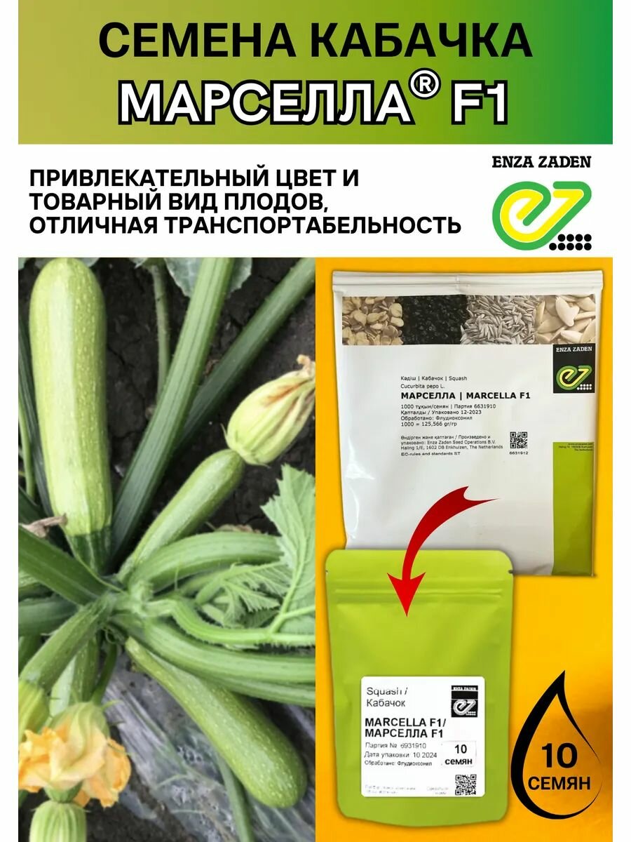 Семена Кабачка Марселла F1 10 шт Enza Zaden профессиональные семена