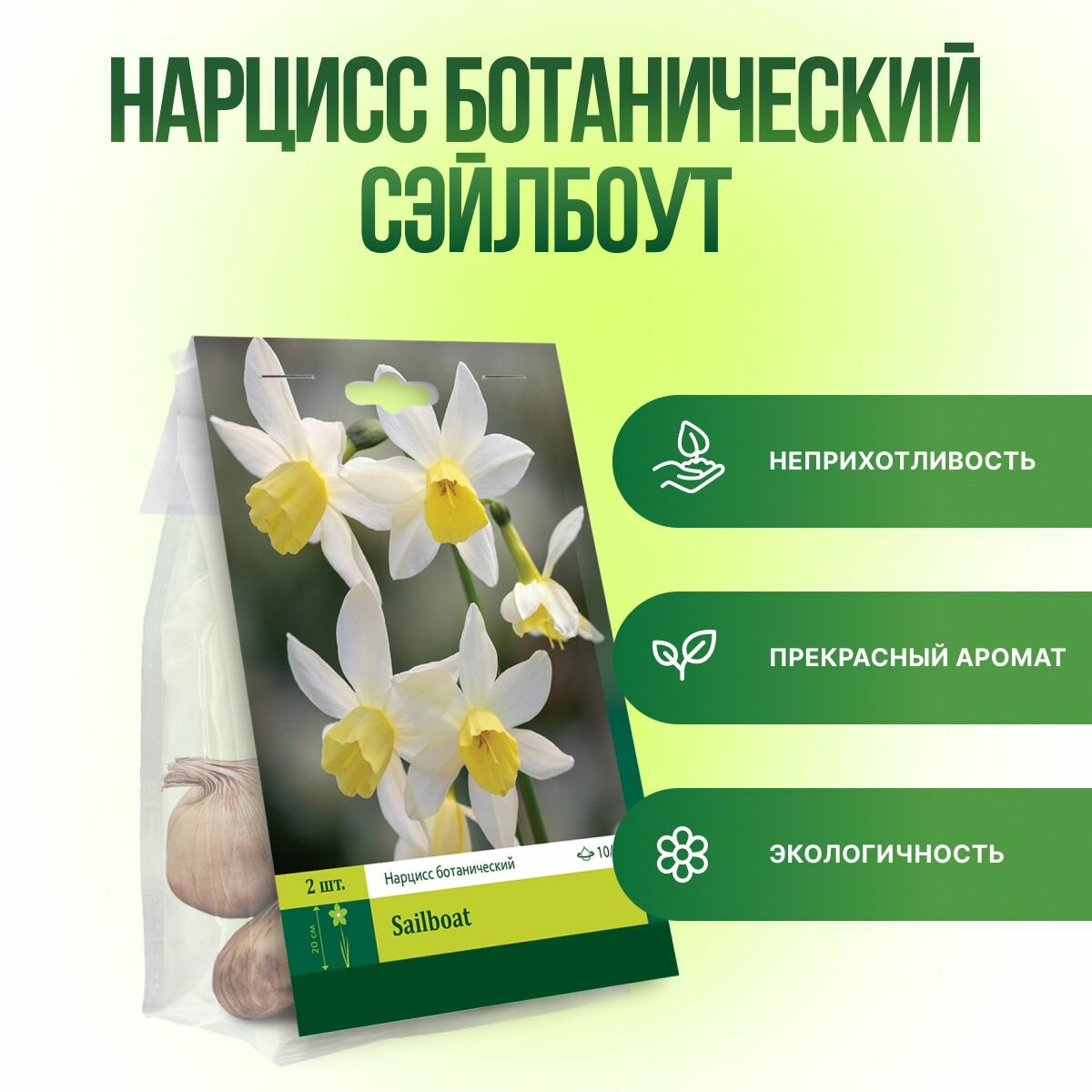 Крупные луковицы нарциссов Сэйлбоут (Sailboat) ботанический 2 шт многолетние для клумб и срезки