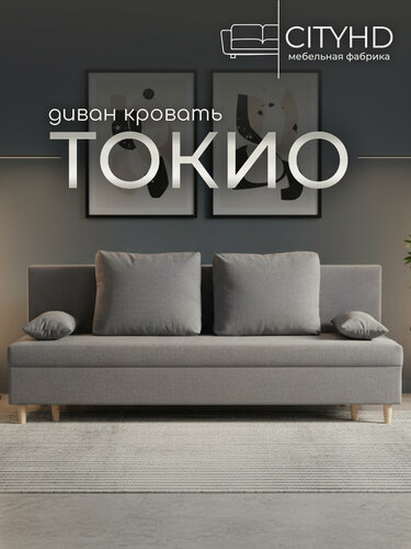 Изображение товара Раскладной диван кровать Токио, механизм еврокнижка, 190х73х73 см, серый, прямой диванчик с ящиком для хранения