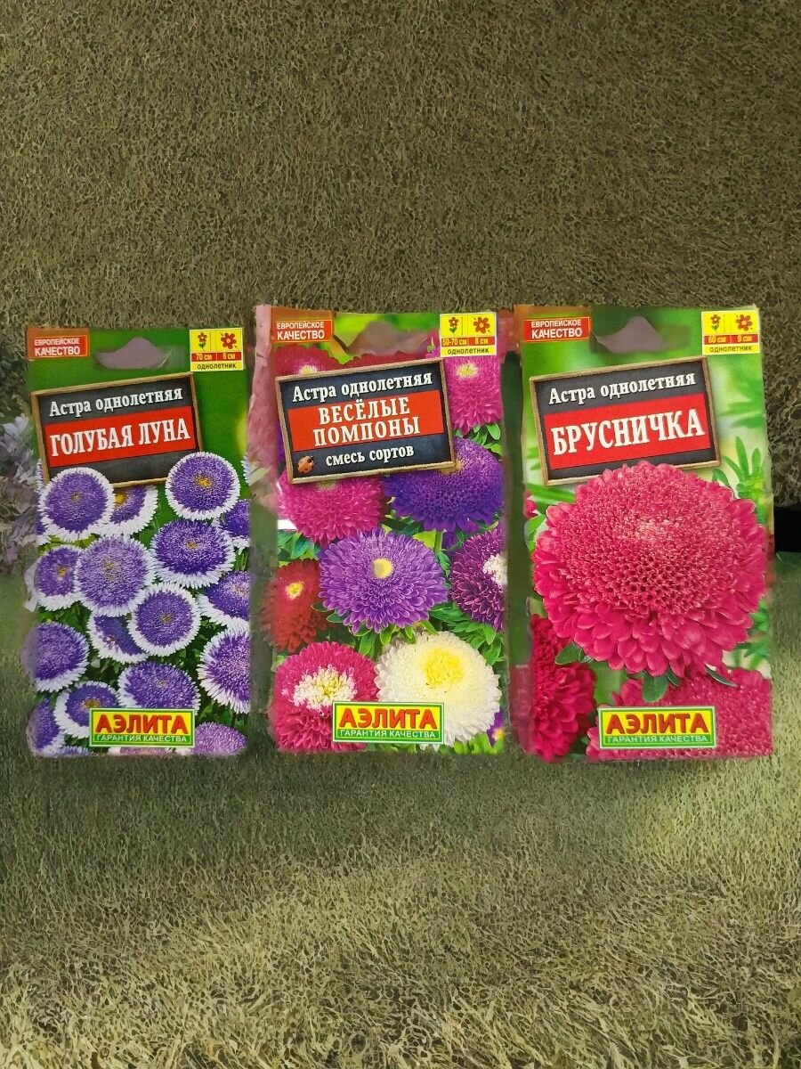 Набор 3 сорта астр помпонных Агрофирмы Аэлита. Веселые помпоны 0.2г Голубая Луна 0.1г  Брусничка 0.2г.