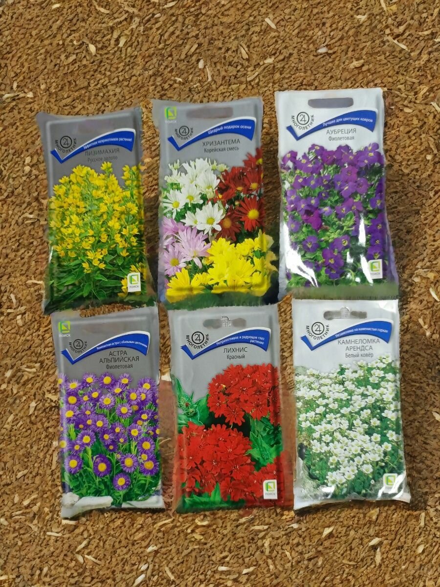 Набор семян многолетних цветов 6 видов: Лихнис Астра Камнеломка Лизимахия Хризантема Аубреция по 1 пакету.